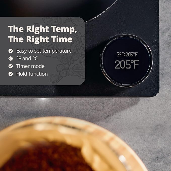 Greater Goods Electric Gooseneck Kettle, 1200W Stainless Steel with Precision Temperature Control, Fast Boil, BPA-Free, Ideal for Pour Over Coffee and Tea,1L (Onyx Black)