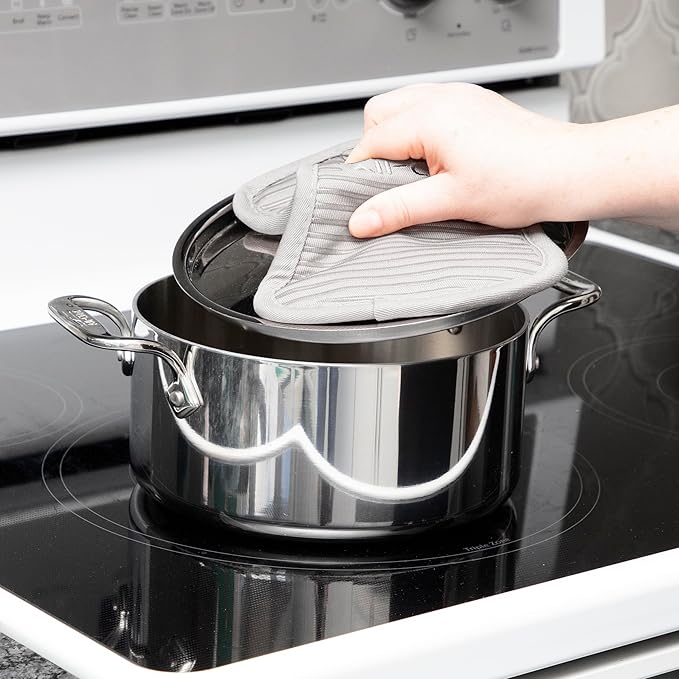 All-Clad Premium Pot Holder & Hot Pad: Heat Resistant up to 500 Degrees - 100% Cotton, 10"x6.25" Hot Pad for Kitchen and Barbeque, 2-Pack, Titanium