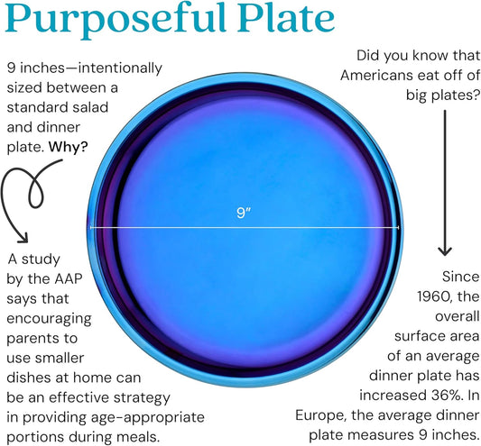 Ahimsa Stainless Steel Kids Plates - 9" Round Blue Toddler Plates, Non Toxic Plate, BPA Free & Dishwasher Safe (Single)