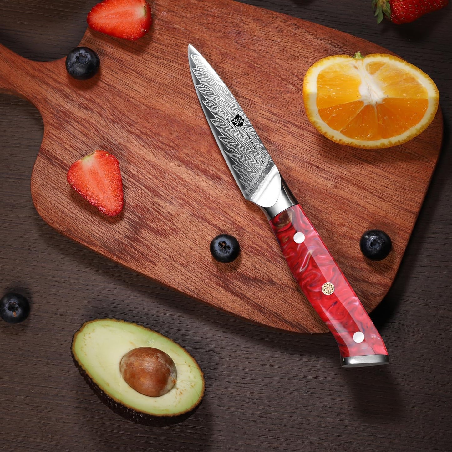 WILDMOK Damascus Paring knife, 3.5 inch sharp fruit Japanese 67 layer Damascus steel knife for carving and peeling knife, Resin handle with gift box