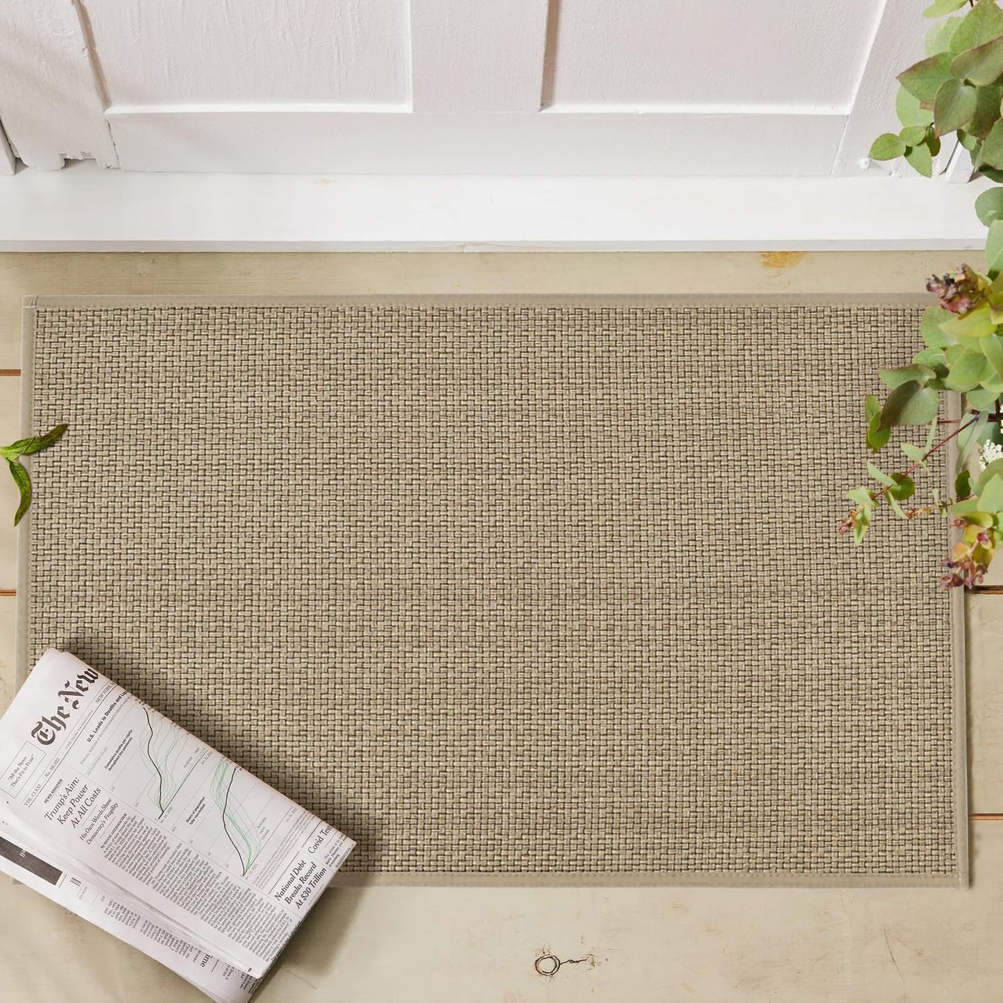 Artoid Mode Washable Non Slip Rubber Backing Kitchen Rugs Doormat, Absorbent Kitchen Floor Mats Front of Sink Kitchen Mats for Floor Home Decor 20x32 Inch