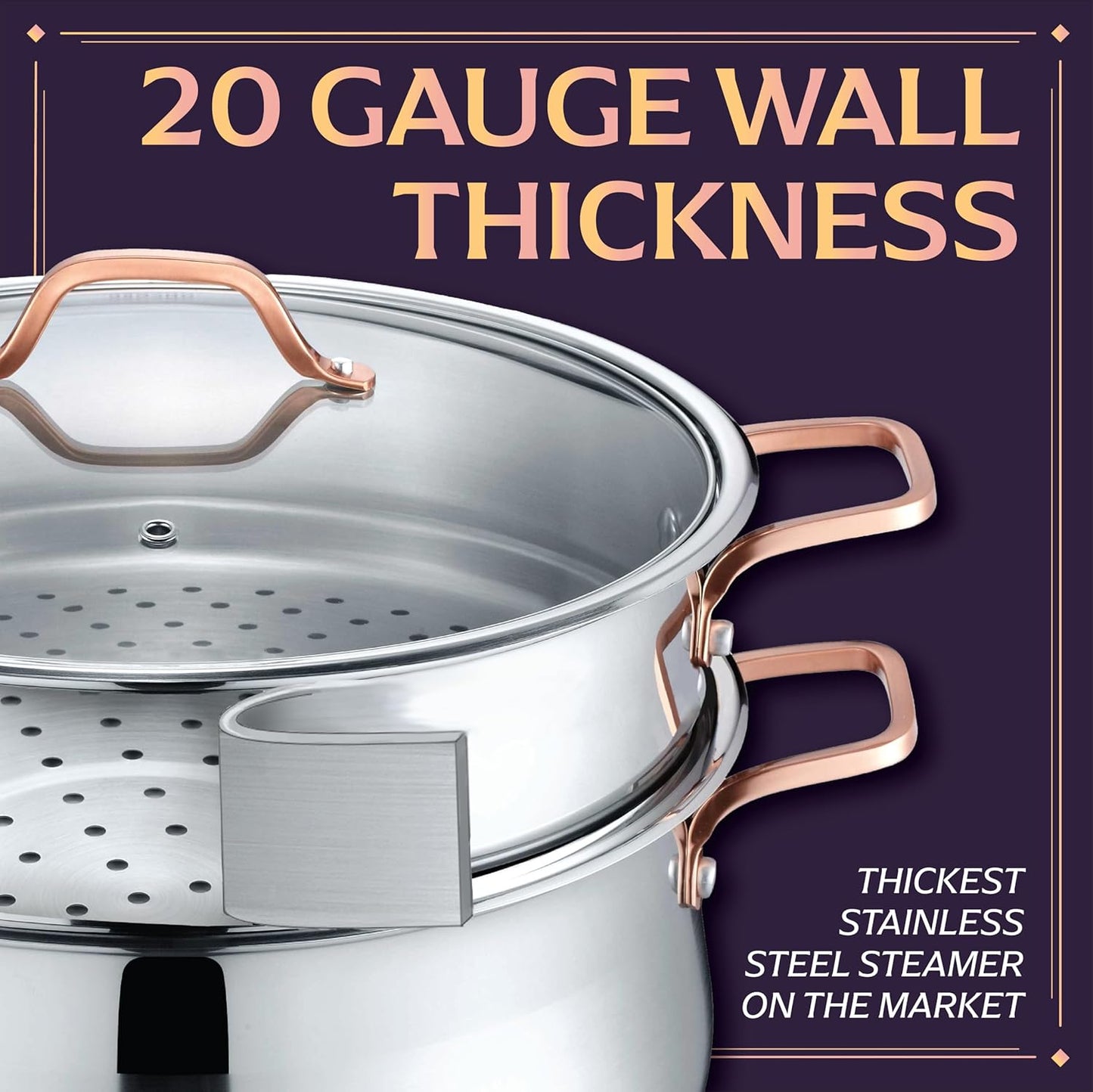 CONCORD Premium Stainless Steel 2 Tier Steamer w/Rose Gold Handles 22 cm