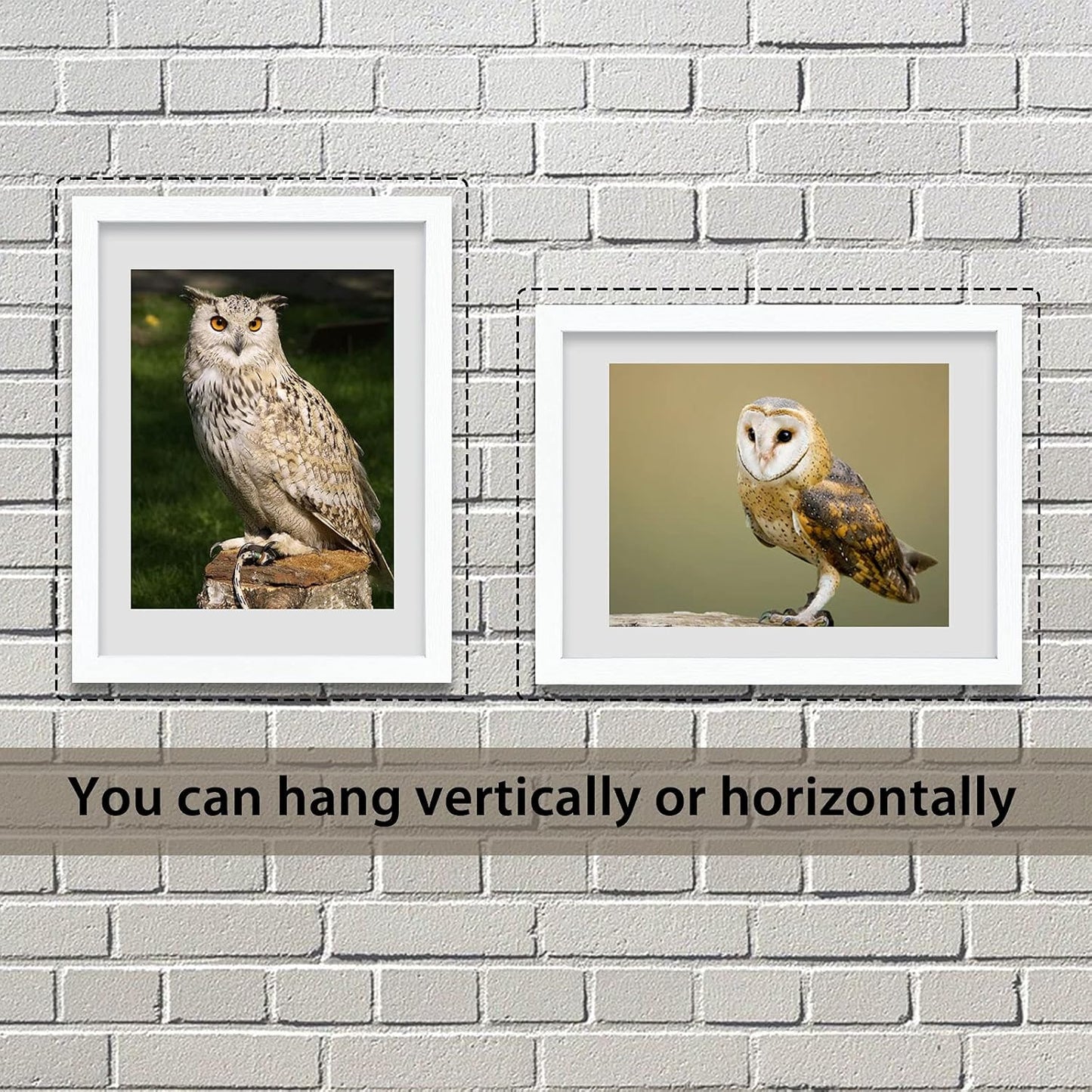 VCK 18x24 Poster Frame White with Polished Plexiglass Set of 5 Picture Frames Horizontal and Vertical Formats with Included Hanging Hardware