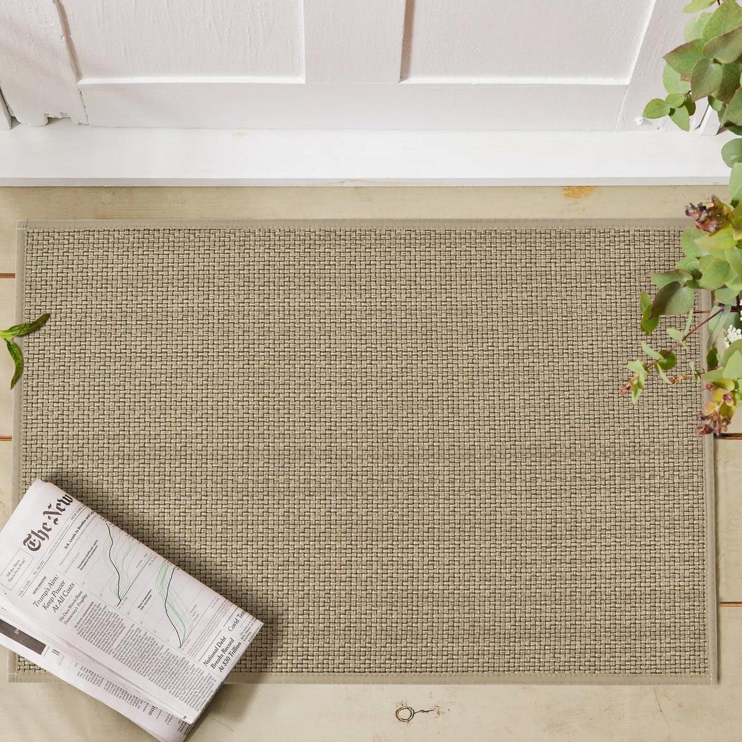 Artoid Mode Washable Non Slip Rubber Backing Kitchen Rugs Doormat, Absorbent Kitchen Floor Mats Front of Sink Kitchen Mats for Floor Home Decor 24x35 Inch