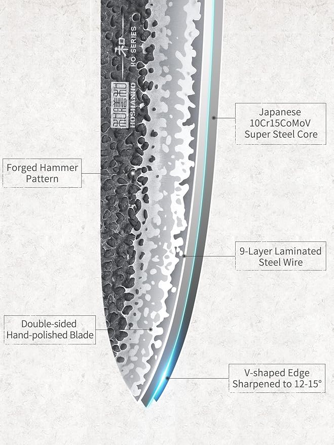 HOSHANHO 8 Inch Japanese Gyuto Chef Knife, 9 Layers 10Cr15CoMoV High Carbon Steel Kitchen Knife, Professional Hand Forged Cooking Knife with Ergonomic Rosewood Handle