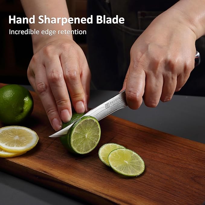 PAUDIN Utility Knife 5 Inch Kitchen Knife, Ultra Sharp High Carbon Stainless Steel Small Chef Knife with Sheath, Kitchen Utility Knife with Ergonomic Pakkawood Handle