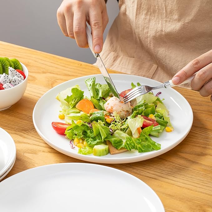 AntoKueh White ceramic plates set of 6, 10.3 Inch round Porcelain plate, 6-piece Salad dishes with shallow Edges for steak, Dessert, Dishwasher/Microwave safe
