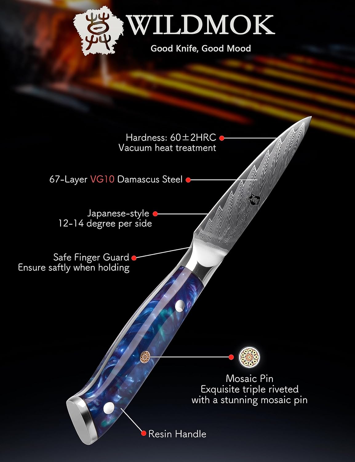 WILDMOK Paring Knife 3.5 Inch, Japanese Damascus Fruit Knife, Small peeling knife Perfect for Cutting Fruit Vegetables Petty Knife