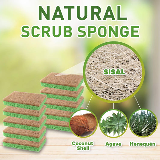 SCRUBIT 24 Pack Natural Sponges - Biodegradable Compostable Cellulose and Coconut Natural Sponges for Dishes, Eco Friendly Non Toxic Kitchen Sponge