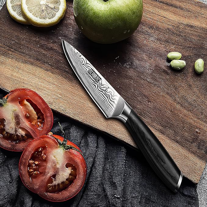 HOSHANHO Paring Knife 3.75 Inch, High Carbon Powder Steel Forged Small Kitchen Knives, Razor Sharp Japanese Fruit Knife with Ergonomic Pakkawood Handle