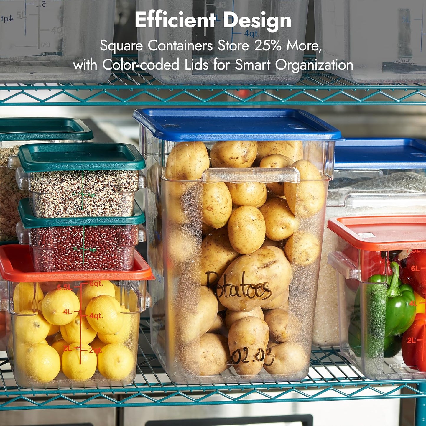 CURTA 4-Pack Food Storage Containers with Blue Lids - 12 Qt & 22 Qt Square Clear Polycarbonate - NSF Listed, Commercial Grade, Freezer & Dishwasher Safe, Stackable