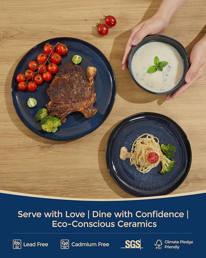 Ceramic Dinnerware Sets, Microwave Safe Plates and Bowls Sets, Kitchen Dishes Set for 4, Unbreakable & Dishwasher Safe Tableware, Everyday Use, Starry Blue